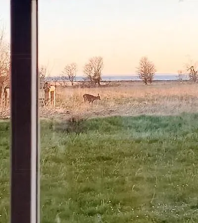 Secluded Sea View On Beautiful Sejero Sejerby